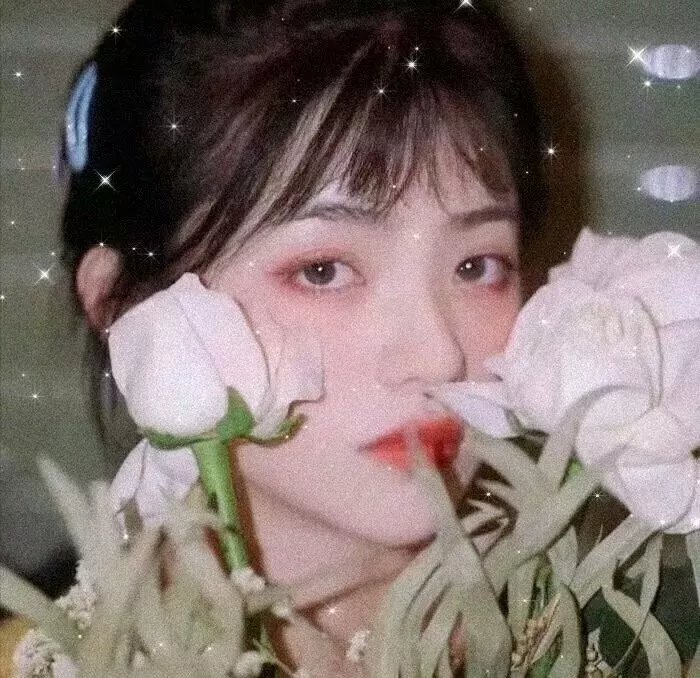流亡的故城